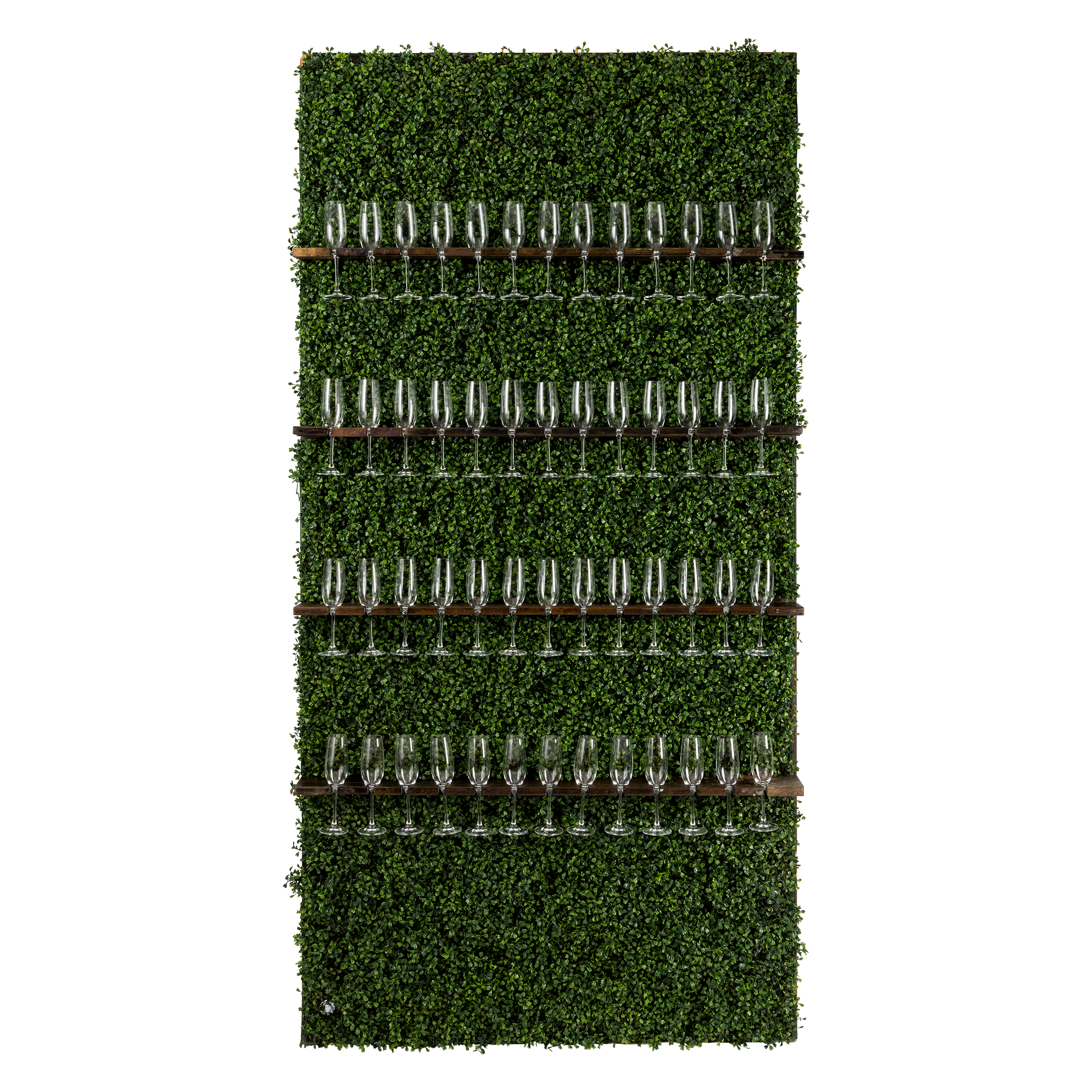Boxwood Champagne Wall