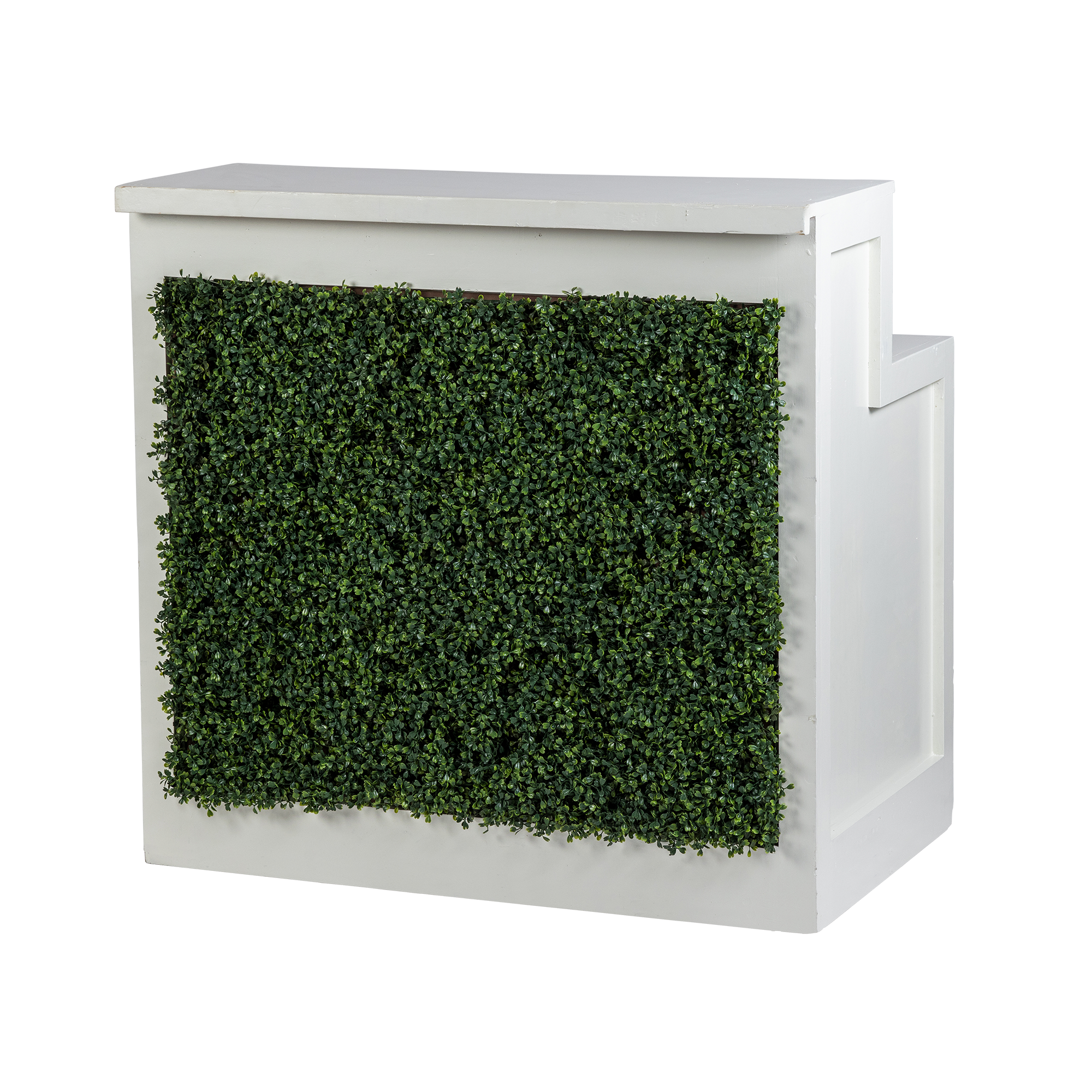 Chameleon Bar: White Boxwood
