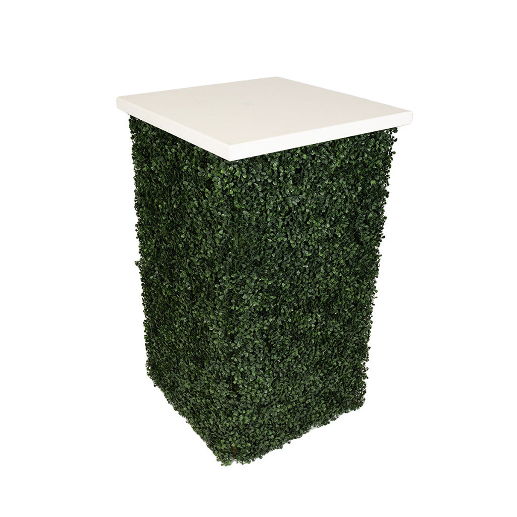 Hedge Cocktail Table with White Top