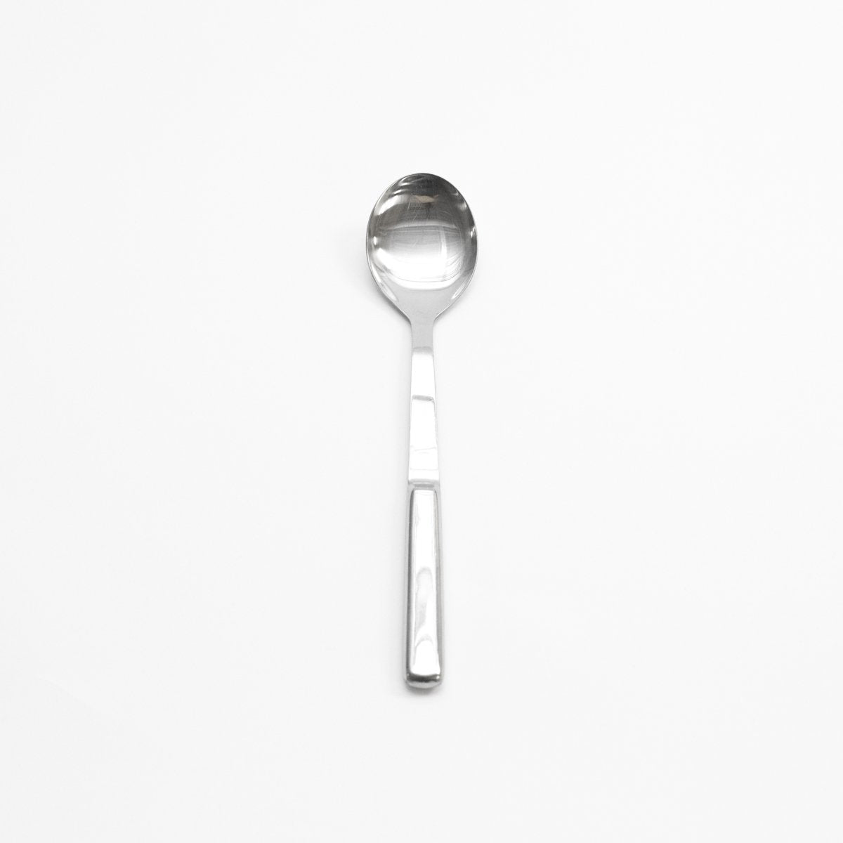 Stainless Serving Spoon